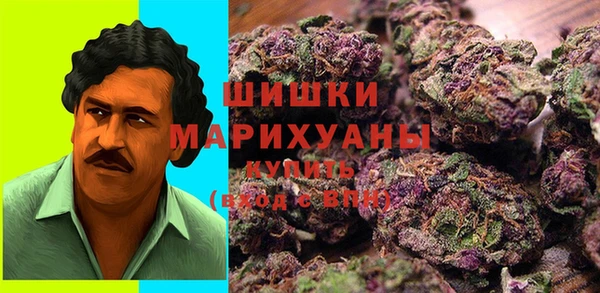 МДПВ Ельня