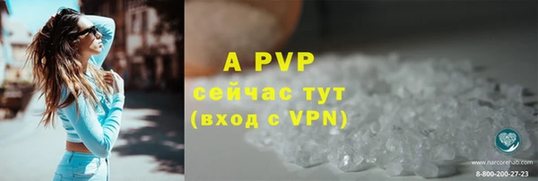 спиды Заводоуковск