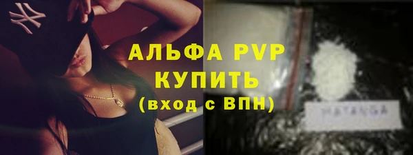 PSILOCYBIN Корсаков