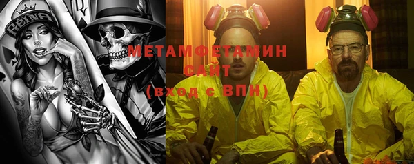 прущие грибы Елизово