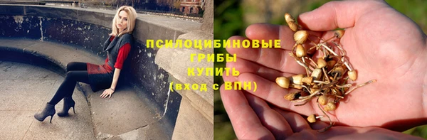 спиды Заводоуковск