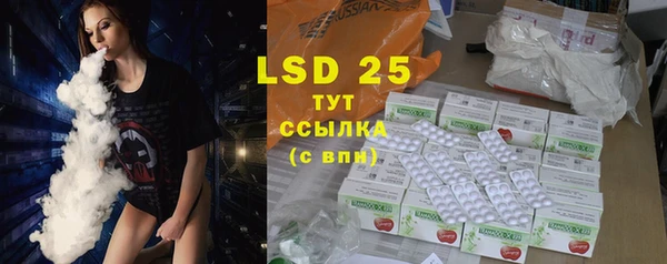 прущие грибы Елизово