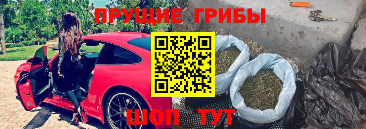 Галлюциногенные грибы ЛСД  Вход с VPN  Псилоцибиновые грибы мицелий  наркотики  Камышлов 